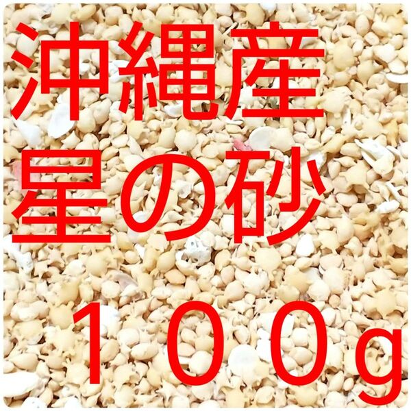 沖縄県産星砂