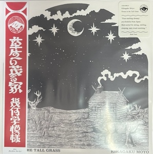 新品 LP 幾何学模様 Kikagaku Moyo / House in the Tall Grass 検) サイケデリック Chill Dub Khruanbin ZAZEN BOYS 坂本慎太郎 ゆらゆら