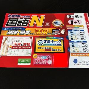 0418 国語N ５年 文溪堂 文章問題 非売品 小学 ドリル 問題集 テスト用紙 教材 テキスト 解答 家庭学習 計算 漢字 過去問 ワーク 