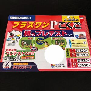 0429 プラスワンPこくご １年 教育同人社 幼児 ひらがな 小学 ドリル 問題集 テスト用紙 教材 テキスト 解答 家庭学習 計算 過去問 ワーク 