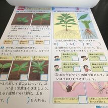 0473 基礎基本理科A ３年 正進社 昆虫 種 非売品　小学 ドリル 問題集 テスト用紙 教材 テキスト 解答 家庭学習 計算 漢字 過去問 ワーク _画像3