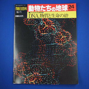 週刊　朝日百科★動物たちの地球　24★からだ作りの神秘2★DNA、物質と生命の絆★朝日新聞社★中古