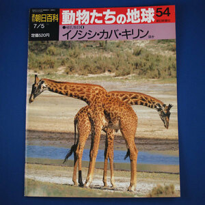 週刊　朝日百科★動物たちの地球　54★哺乳類Ⅱー6★イノシシ・カバ・キリン ほか★朝日新聞社★中古