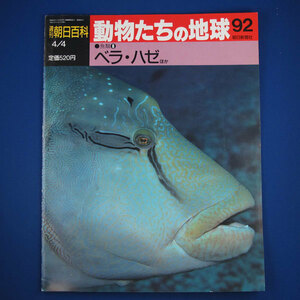 週刊　朝日百科★動物たちの地球　92★魚類8★ベラ・ハゼ ほか★朝日新聞社★中古