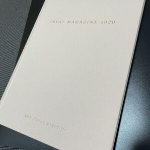 トリートドレッシング カタログ 美品