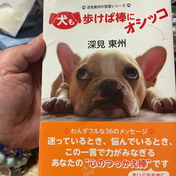 犬も歩けば棒にオシッコ （深見東州の言葉シリーズ） 深見東州／著