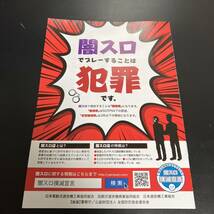 パチスロ　レア　小冊子 公式ガイドブック 　　 来雷　エイサー30 沖スロ 1冊　★即決_画像2