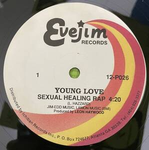 HIPHOP record ヒップホップ　レコード　Young Love Sexual Healing rap