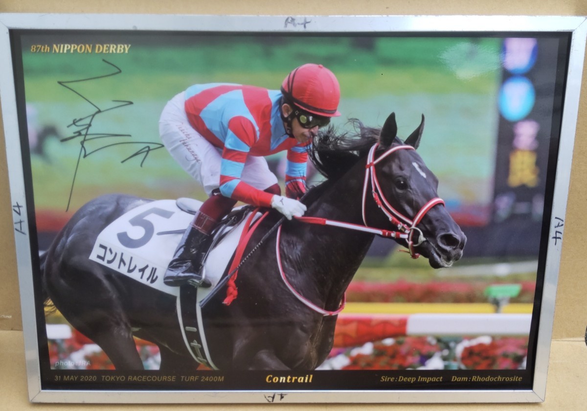 ヤフオク! -「コントレイル」(その他) (競馬)の落札相場・落札価格