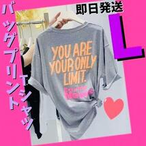 半袖Tシャツ　ビッグロゴ　夏　レディース　メンズ　グレー　大きい　可愛い　L_画像1