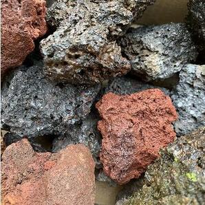 富士山 溶岩石(高濾過) 50-100㎜ 3キロ ミックス 水槽 レイアウト 石 飾り 岩 アクアリウム コケリウム ビオトープ パルダリウム 