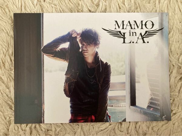 ミニフォトブック　MAMO in L.A.