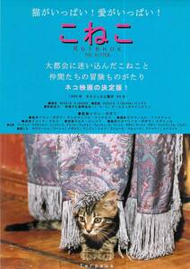 映画 チラシ　こねこ　イワン・ポポフ　アレクサンドル・マリヤモフ　アンドレイ・クズネツォフ　THE KITTEN　子猫　仔猫　京都みなみ会館