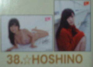 EN1803　B2ポスター2枚組　38：☆HOSHINO