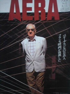 AERA 1991年No.33