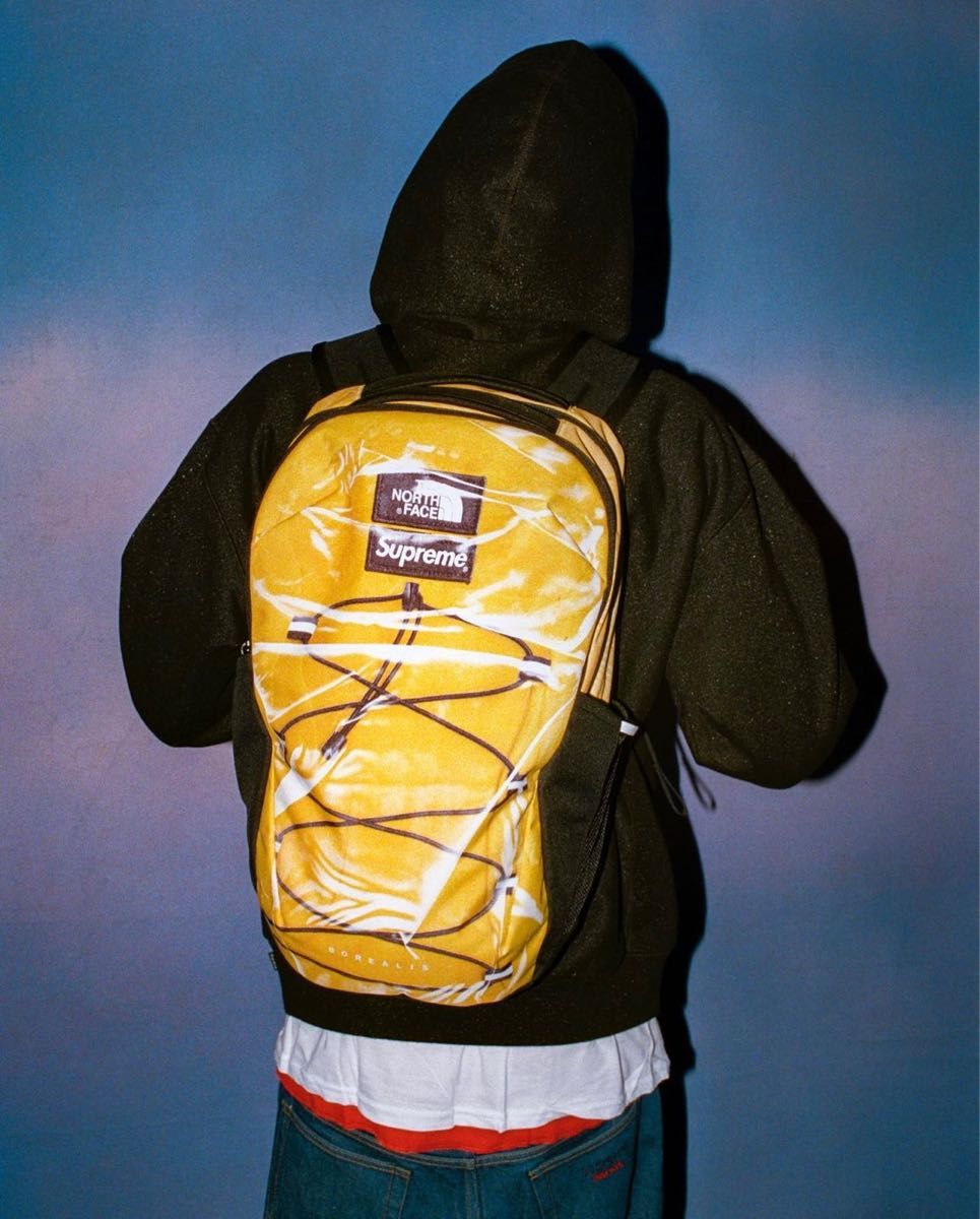 Supreme the north face backpack 雪山 美品 シュプリーム バック