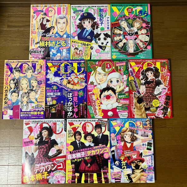 レディースコミックス　YOU 2010.19〜21.23.24/2011.1〜5