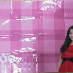 佐々木希 レジャーシート