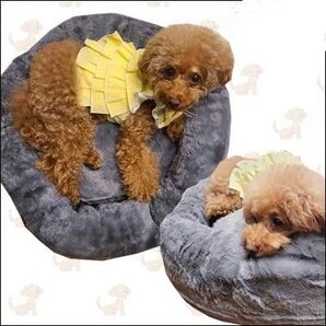 Cuddler pet bed ペット ベッド