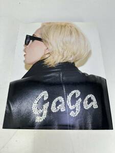 ＬＡＤＹ　ＧＡＧＡ×ＴＥＲＲＹ　ＲＩＣＨＡＲＤＳＯＮ／レディー・ガガ，テリーリチャードソン　中古品