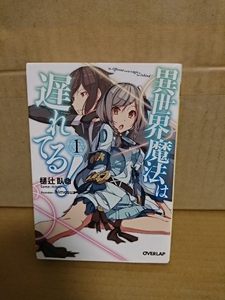 オーバーラップ文庫『異世界魔法は遅れてる！＃１』樋辻臥命