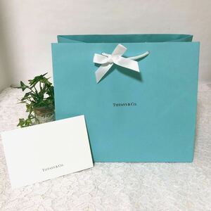 ティファニー「TIFFANY&Co.」ショッパー マチ広め (2421) 正規品 付属品 ショップ袋 ブランド紙袋 長財布箱・小さめバッグ可 折らずに配送