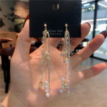 A121J☆新品人気S925耳針 精美 個性 可愛いレディース ピアス ロング フリンジ アクセサリA_画像3