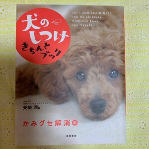 犬のしつけきちんとブック　Ｌｅｔ’ｓ　ｆｕｎ　ｔｒａｉｎｉｎｇ！！　かみグセ解消編 矢崎潤／著