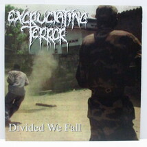 EXCRUCIATING TERROR-Divided We Fall (US オリジナル LP+インサート）_画像1