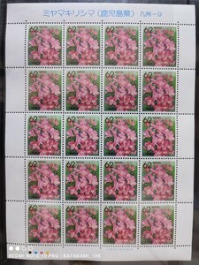 [ postage 120 jpy ~]Y unused / special stamp / prefectures flower series [ Miyama drill sima( Kagoshima prefecture ) Kyushu -9]/62 jpy stamp seat / face value 1240 jpy / Furusato Stamp /