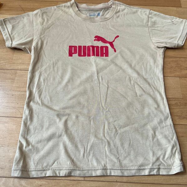 PUMA 半袖Tシャツ レディース L