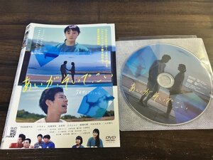 あいが、そいで、こい　DVD　 小川あん　柴田啓佑　即決　送料200円　505