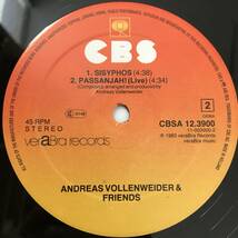 Andreas Vollenweider - Pace Verde Music For Living Beings“ Loft Classic David Mancuso マンキューソ ロフト バレアリック Todd Terje_画像4