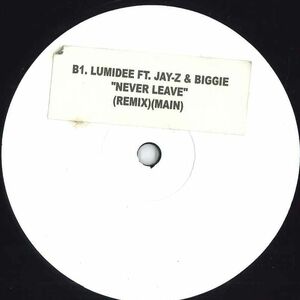 12 Lumidee Feat. Jay-z & Biggie Never Leave NONE NONE /00250