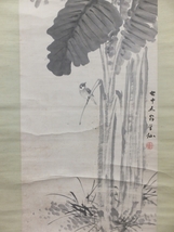 【真作保証】 大庭学僊 直筆 芭蕉之図 長条幅 日本画家 コレクター放出品 (小田海僊 朝倉南陵 高島北海) 山口県 掛軸作品何点でも同梱可_画像5