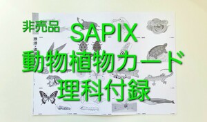 サピックス 塾内配布 未使用 理科 動物植物カード 裏面分類詳細記載 基礎力up 赤い下敷きで隠す 重要語句 中学受験 非売品 単語帳 即発可