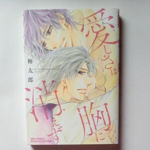 梅太郎　「愛しさは胸に消えず」