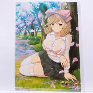 閃乱カグラ NewWave Gバースト 春花 1 はるか 銀塩ブロマイド くじコレ 2L版サイズ