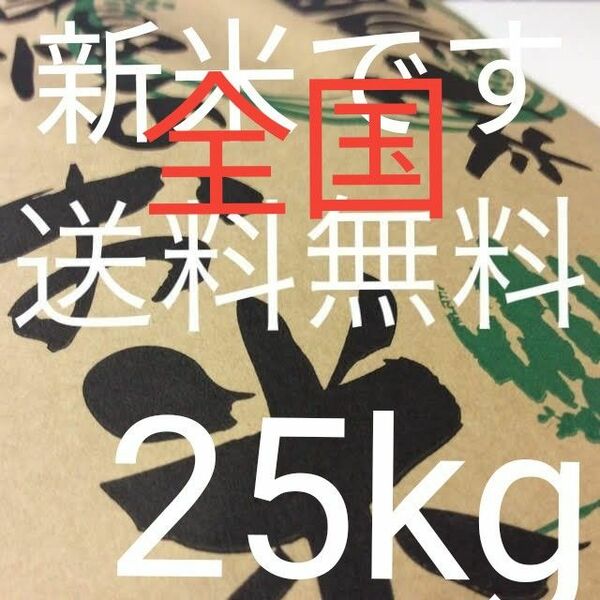 茨城産こしひかり　25kg 全国送料無料です