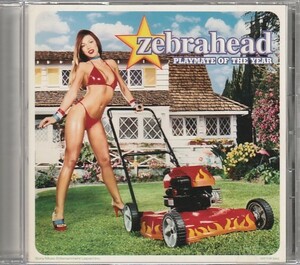 CD「zebrahead / プレイメイト・オブ・ザ・イヤー 」　送料込