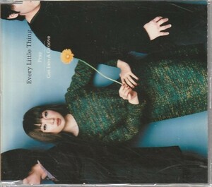 CD「Every Little Thing / Pray Get Into A Groove」　送料込