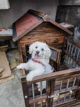 新入荷☆丈夫 犬小屋 ペットハウス 防水 屋外 豪華別荘 野外通気性 快適な空間 中型犬用 ドアと窓付きの犬用犬小屋 耐磨耗 簡単組立_画像8