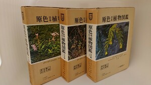. color Japan plant illustrated reference book .book@ compilation 3 pcs. set (15 16 17) Hoikusha * north . four .. rice field source .. Oyama . Hara * plant illustrated reference book .. flower kind .. flower kind single . leaf kind 