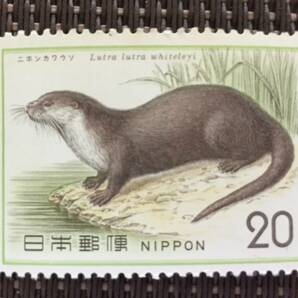 ■■コレクション出品■■【自然保護シリーズ】ニホンカワウソ 額面２０円の画像1