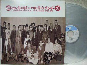 ★★ LD The Masashin Brothers Whands, которые не падают ★ Лазерный диск [2579tpr