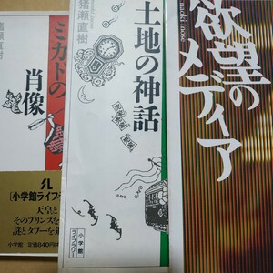 猪瀬直樹ミカド3部作4冊 ミカドの肖像上下 土地の神話 欲望のメディア 帝 天皇 西武 堤康次郎 東急 五島慶太 正力松太郎 検索→数冊格安