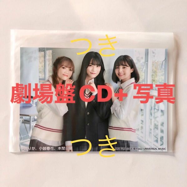 【劇場盤CDと生写真】NGT48 8th Single 渡り鳥たちに空は見えない 未開封品 わたぞら