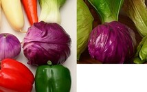食品サンプル まるごと キャベツ 野菜 2個セット (紫キャベツ)_画像5