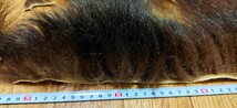 ●フライマテリアル●ヒグマの毛皮 端切れ（C5） 羆 熊 毛皮 / DIY　ハンドクラフト レザークラフト 毛鉤 毛針 フライ_画像3