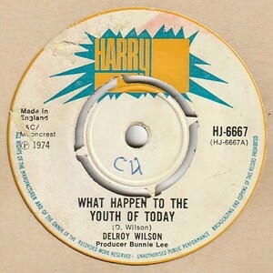 【REGGAE】What Happen To The Youth Of Today / Delroy Wilson - Baby Don't Do It [Harry J (UK)] ya305